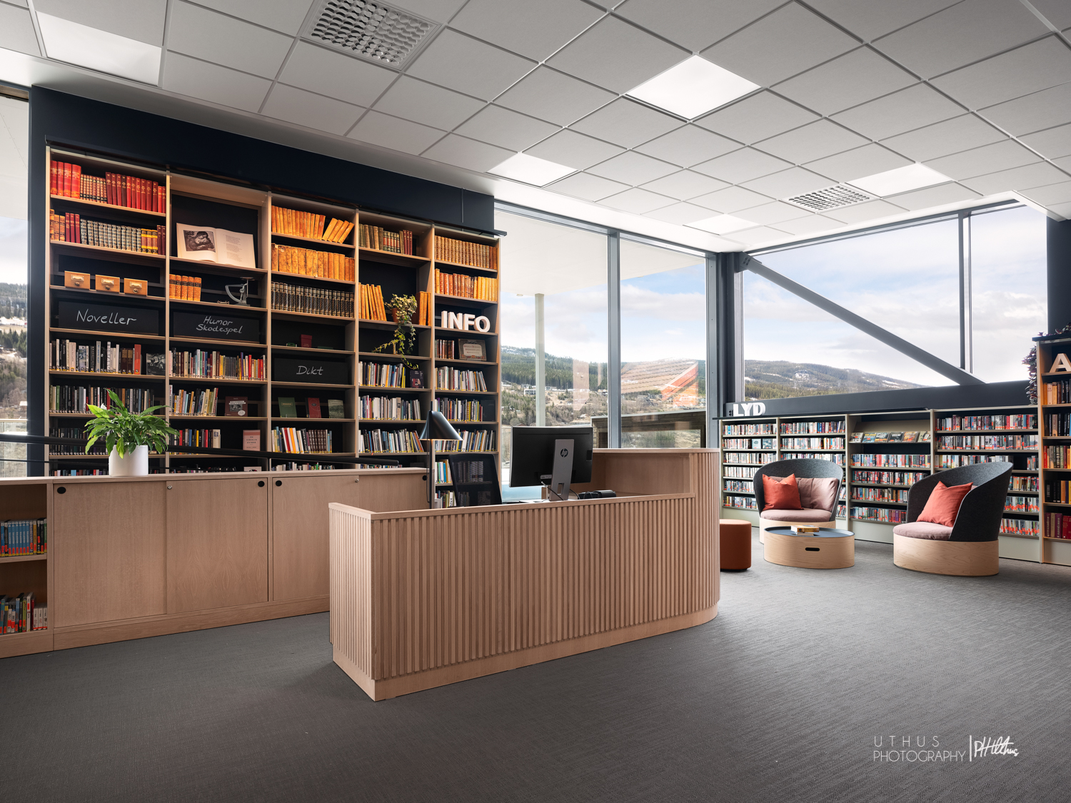 Ål kommune Ål bibliotek